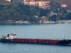 mvkaloyan